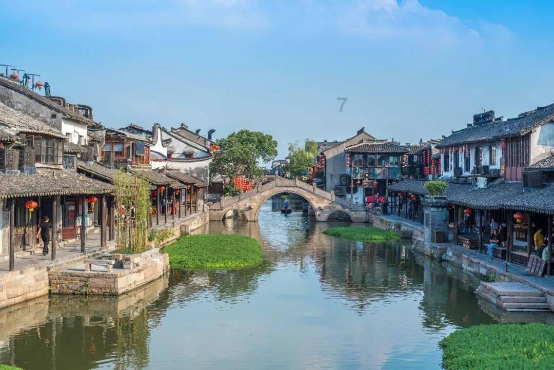 为什么越来越多的蔬菜比肉类还要贵?-专注科普百科知识
